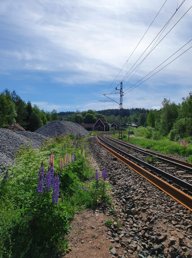 Borås-Hillared