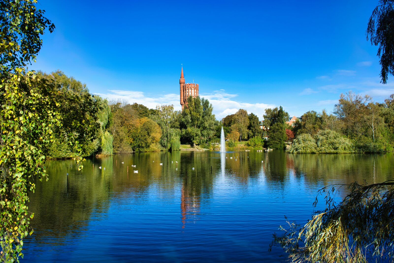 Bild på en damm i en park omringad av gröna lövträd. I bakgrunden syns ett högt tegeltorn.